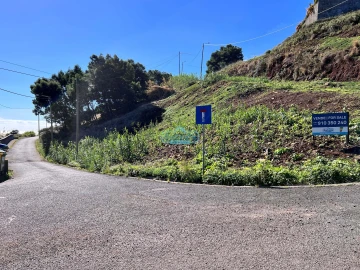 Terreno para Venda em Gaula