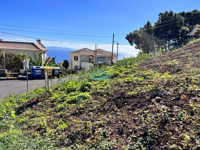 Terreno para Venda em Gaula Foto 5
