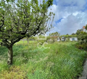 Moradia T3 para Venda em Barcelos, V.Boa, V.Frescainha