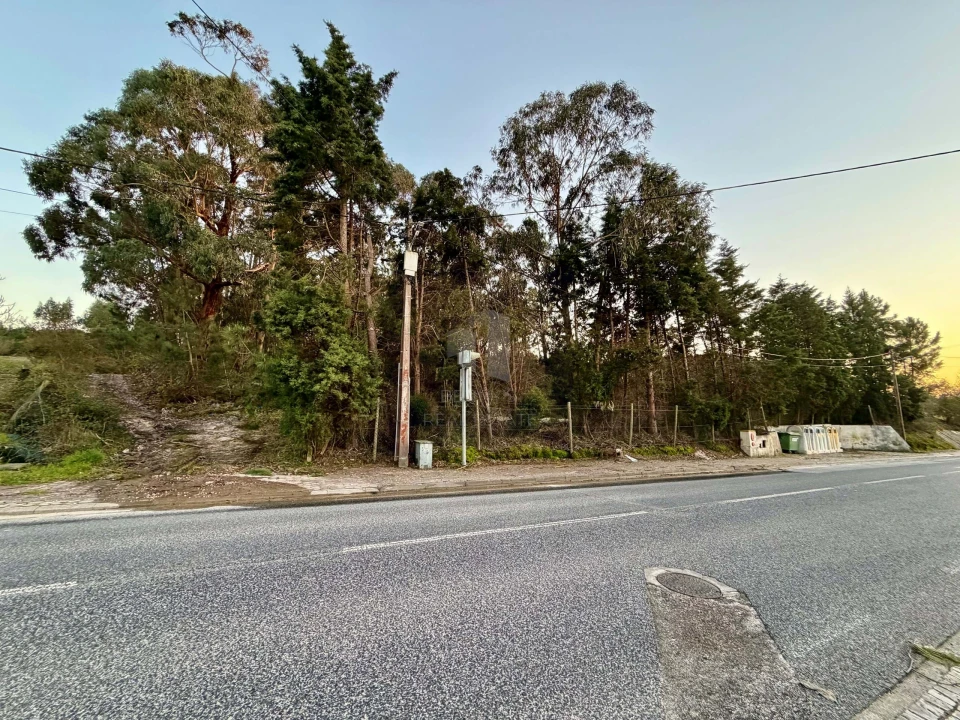 Terreno para Venda em Juncal Foto 4