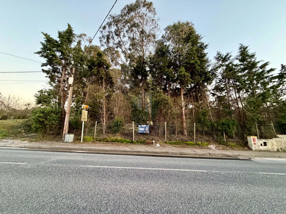 Terreno para Venda em Juncal Foto 5