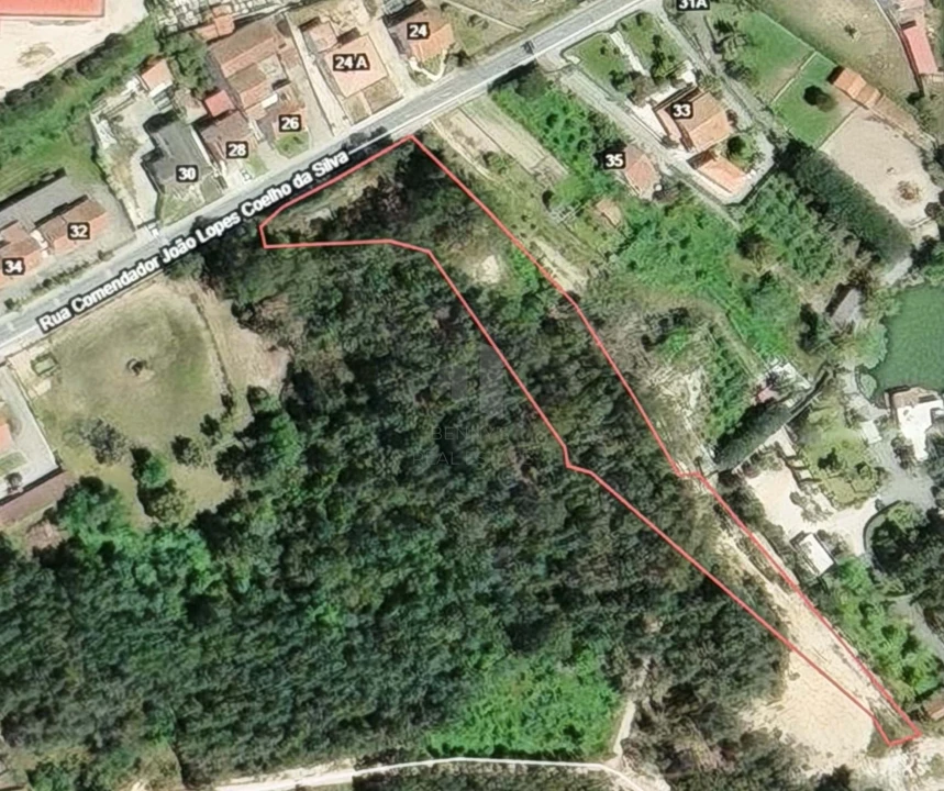 Terreno para Venda em Juncal Foto 3
