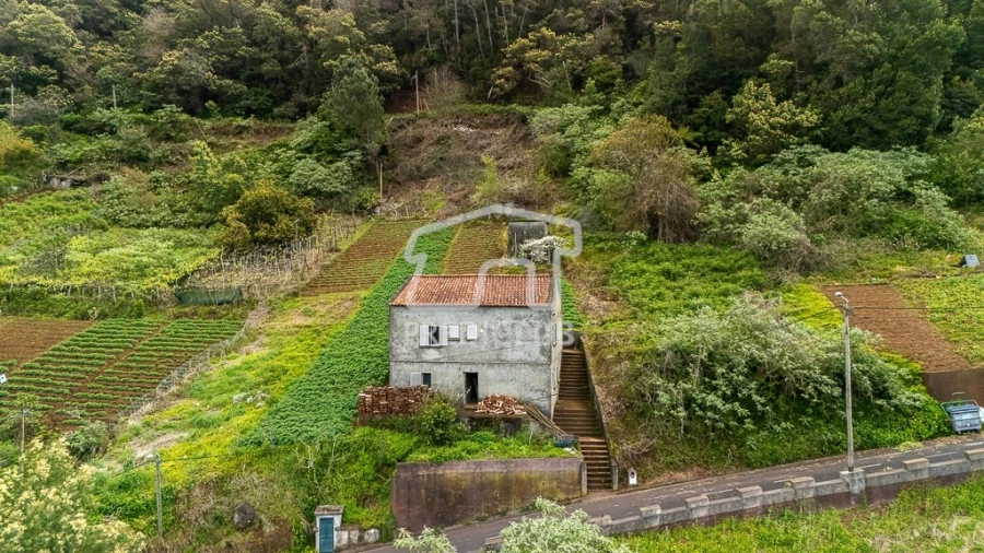 Moradia T3 para Venda em Santana Foto 3