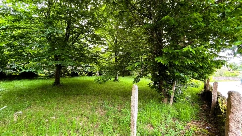 Terreno para Venda em Vilar de Mouros