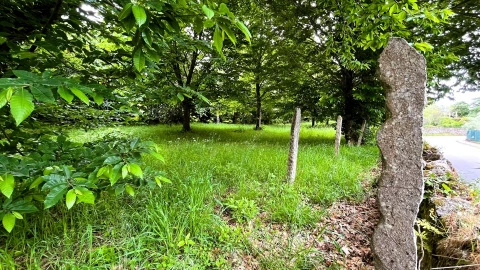 Terreno para Venda em Vilar de Mouros