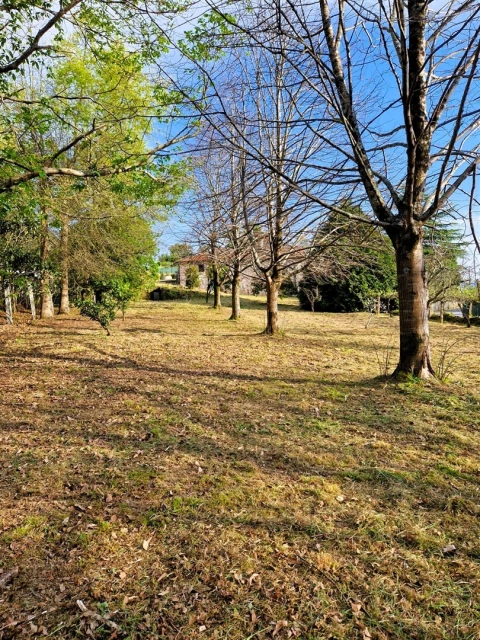 Terreno para Venda em Vilar de Mouros