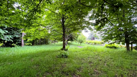 Terreno para Venda em Vilar de Mouros