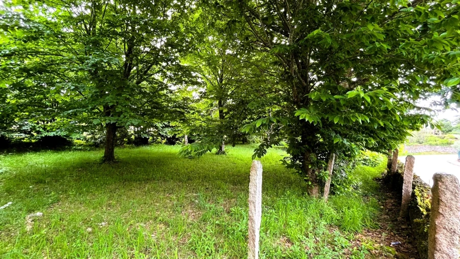Terreno para Venda em Vilar de Mouros Foto 7