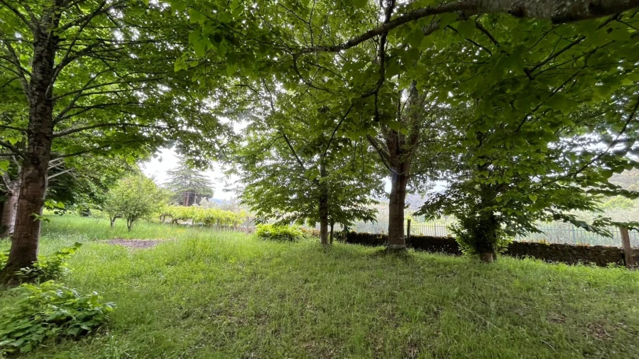 Terreno para Venda em Vilar de Mouros Foto 14