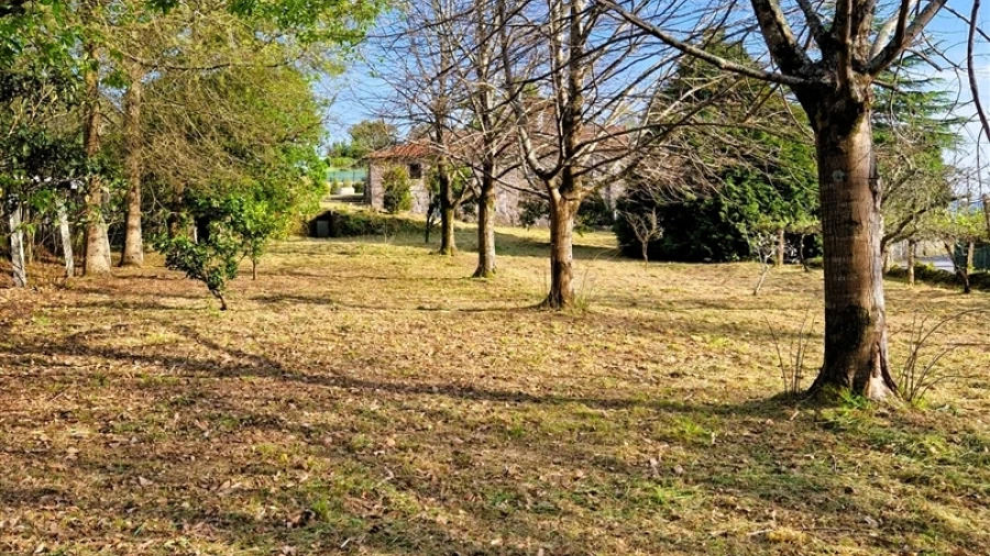 Terreno para Venda em Vilar de Mouros