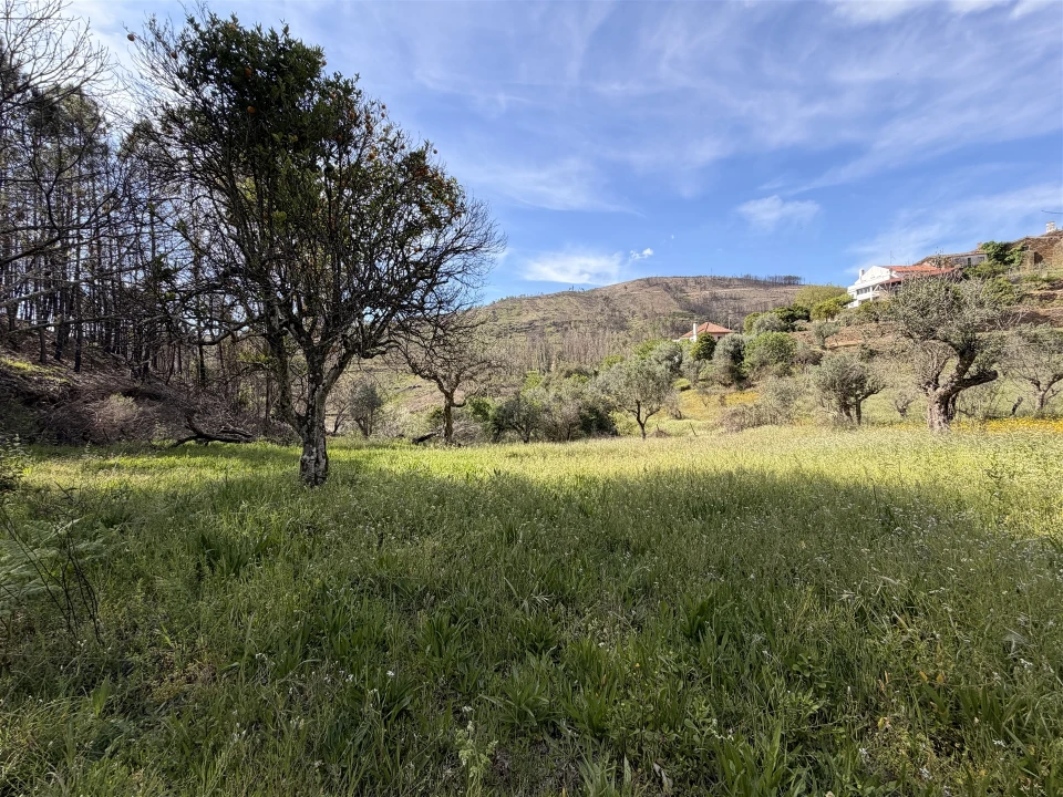 Terreno Agricola ou Rústico para Venda em São Vicente da Beira Foto 15