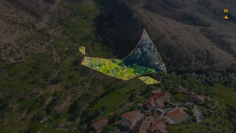 Terreno Agricola ou Rústico para Venda em São Vicente da Beira