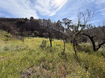 Terreno Agricola ou Rústico para Venda em São Vicente da Beira