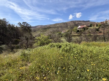 Terreno Agricola ou Rústico para Venda em São Vicente da Beira