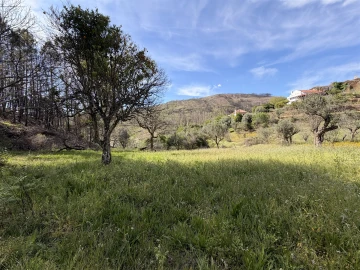 Terreno Agricola ou Rústico para Venda em São Vicente da Beira