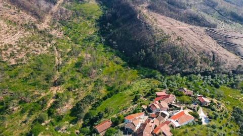 Terreno Agricola ou Rústico para Venda em São Vicente da Beira
