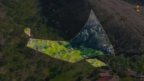 Terreno Agricola ou Rústico para Venda em São Vicente da Beira