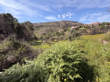 Terreno Agricola ou Rústico para Venda em São Vicente da Beira