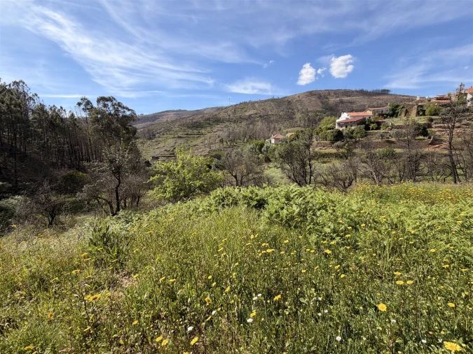 Terreno Agricola ou Rústico para Venda em São Vicente da Beira Foto 6