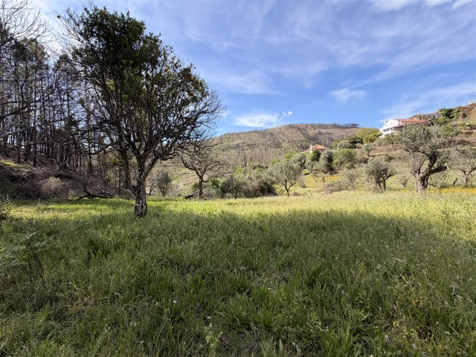 Terreno Agricola ou Rústico para Venda em São Vicente da Beira Foto 15