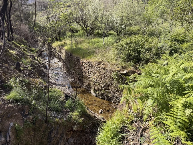 Terreno Agricola ou Rústico para Venda em São Vicente da Beira Foto 19