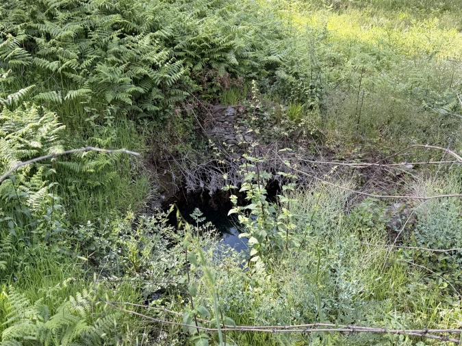 Terreno Agricola ou Rústico para Venda em São Vicente da Beira Foto 12
