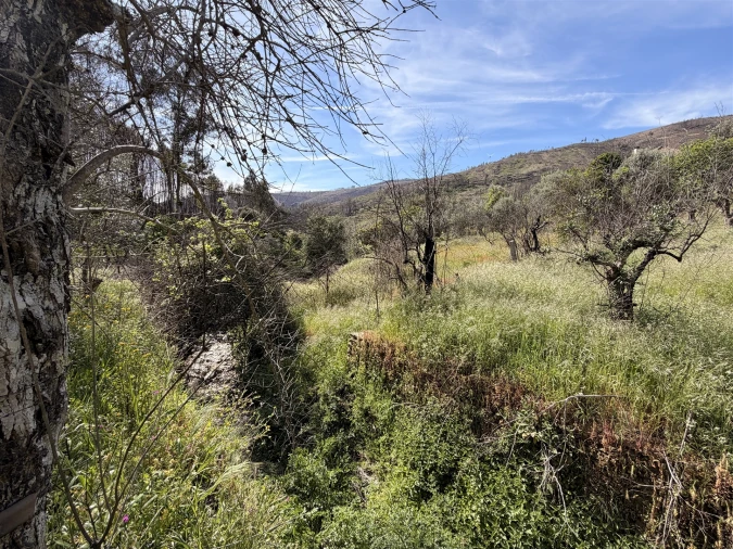 Terreno Agricola ou Rústico para Venda em São Vicente da Beira Foto 22