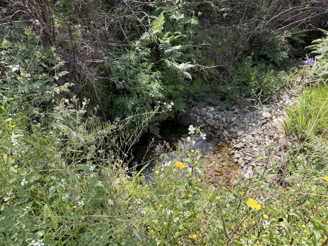 Terreno Agricola ou Rústico para Venda em São Vicente da Beira Foto 10