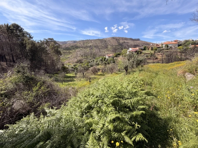 Terreno Agricola ou Rústico para Venda em São Vicente da Beira Foto 8
