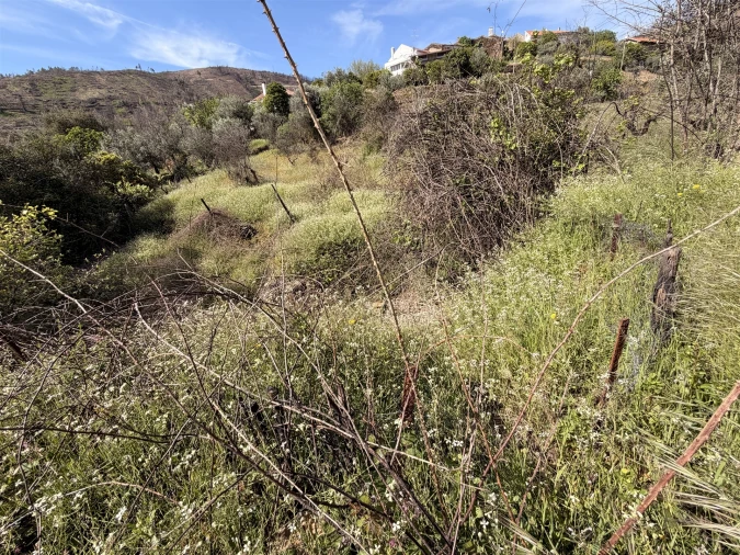 Terreno Agricola ou Rústico para Venda em São Vicente da Beira Foto 21