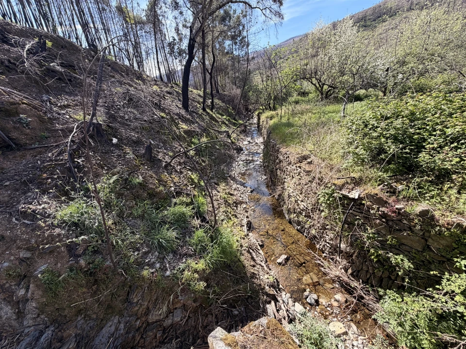 Terreno Agricola ou Rústico para Venda em São Vicente da Beira Foto 20
