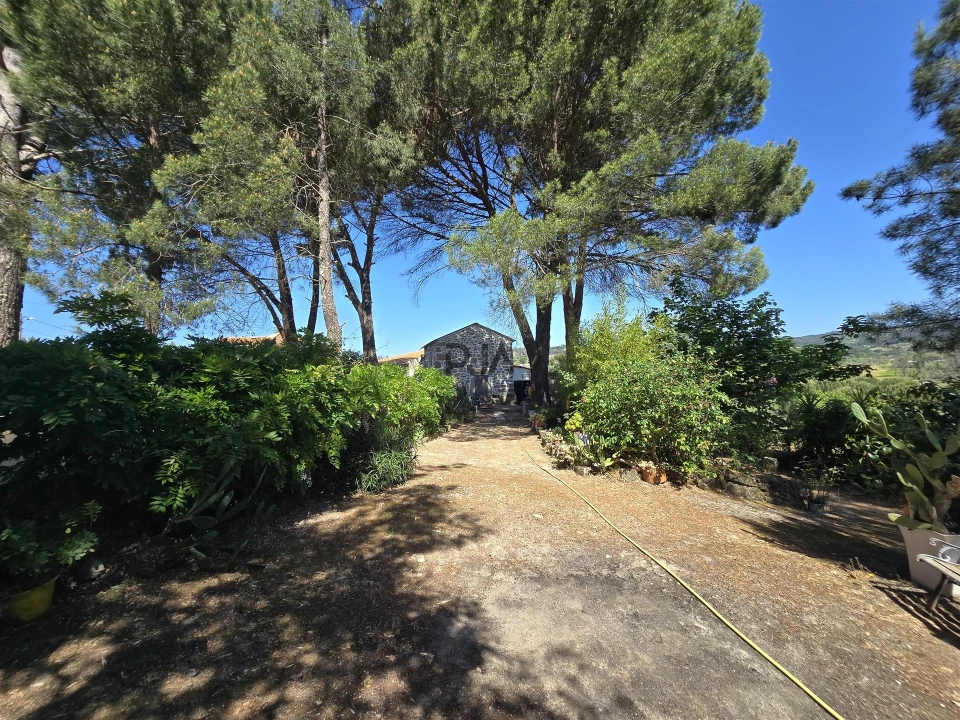 Quinta T0 para Venda em Santiago de Cassurrães e Póvoa de Cervães Foto 29