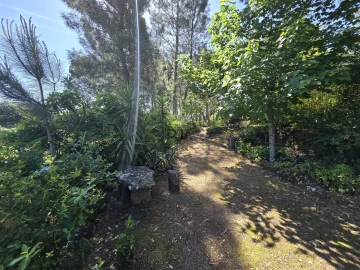 Quinta T0 para Venda em Santiago de Cassurrães e Póvoa de Cervães
