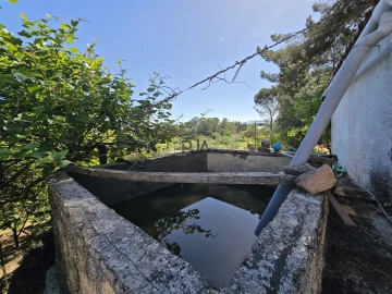 Quinta T0 para Venda em Santiago de Cassurrães e Póvoa de Cervães