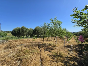 Quinta T0 para Venda em Santiago de Cassurrães e Póvoa de Cervães