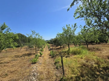 Quinta T0 para Venda em Santiago de Cassurrães e Póvoa de Cervães
