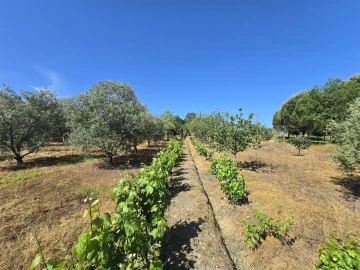 Quinta T0 para Venda em Santiago de Cassurrães e Póvoa de Cervães