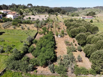 Quinta T0 para Venda em Santiago de Cassurrães e Póvoa de Cervães