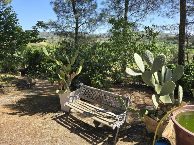 Quinta T0 para Venda em Santiago de Cassurrães e Póvoa de Cervães Foto 19