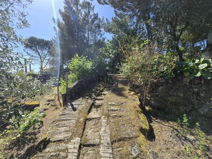 Quinta T0 para Venda em Santiago de Cassurrães e Póvoa de Cervães Foto 20