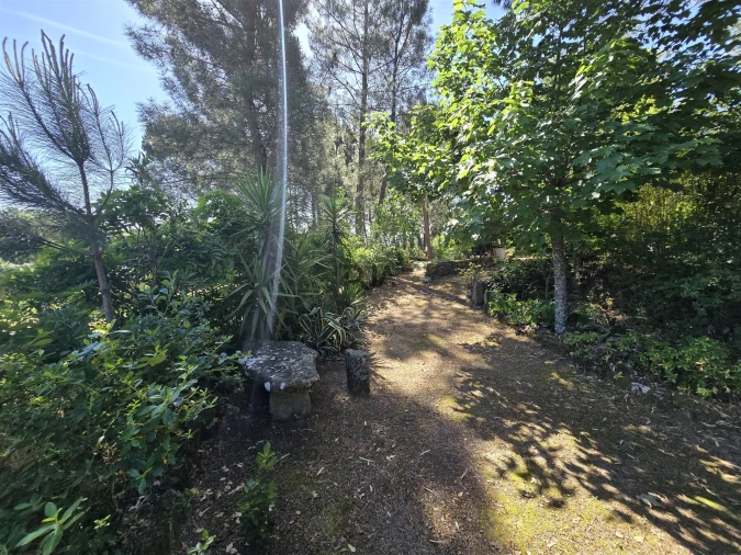 Quinta T0 para Venda em Santiago de Cassurrães e Póvoa de Cervães Foto 12