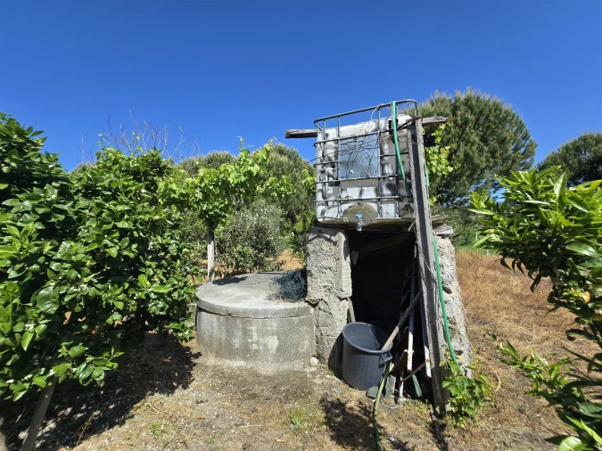 Quinta T0 para Venda em Santiago de Cassurrães e Póvoa de Cervães Foto 24