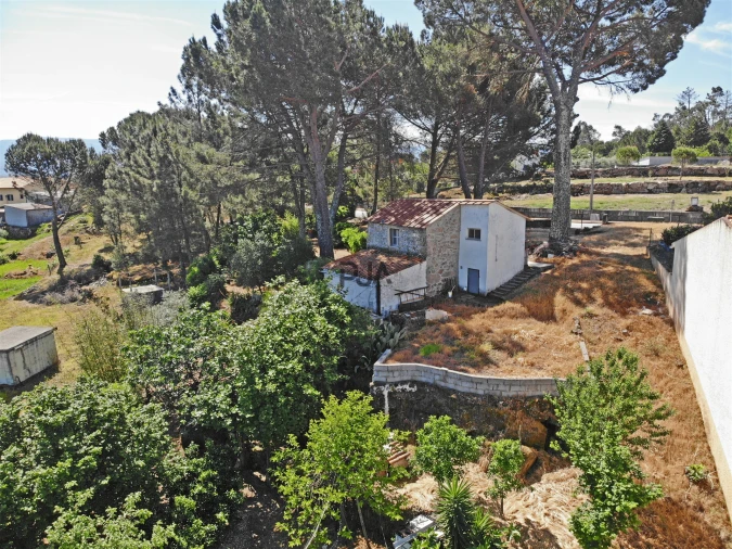 Quinta T0 para Venda em Santiago de Cassurrães e Póvoa de Cervães