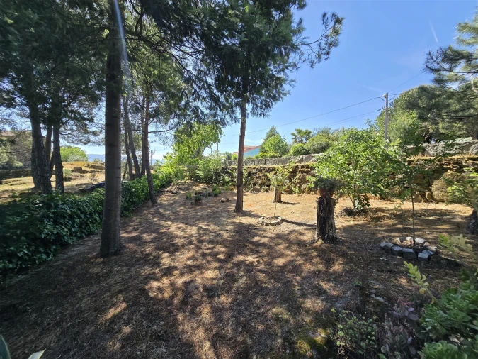 Quinta T0 para Venda em Santiago de Cassurrães e Póvoa de Cervães Foto 30