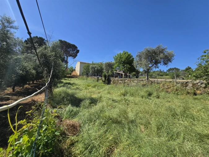 Quinta T0 para Venda em Santiago de Cassurrães e Póvoa de Cervães Foto 26