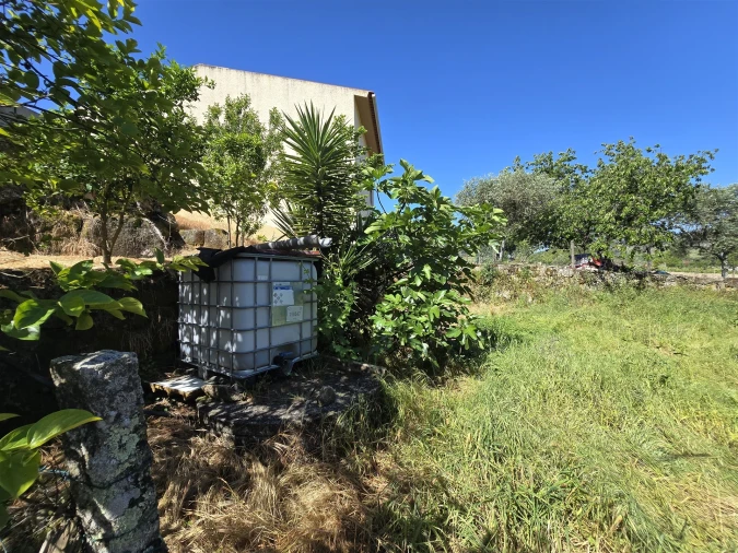 Quinta T0 para Venda em Santiago de Cassurrães e Póvoa de Cervães Foto 21