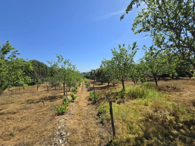 Quinta T0 para Venda em Santiago de Cassurrães e Póvoa de Cervães Foto 31