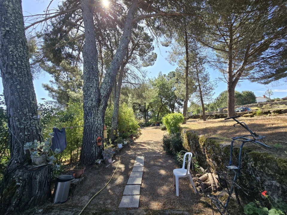 Quinta T0 para Venda em Santiago de Cassurrães e Póvoa de Cervães Foto 11