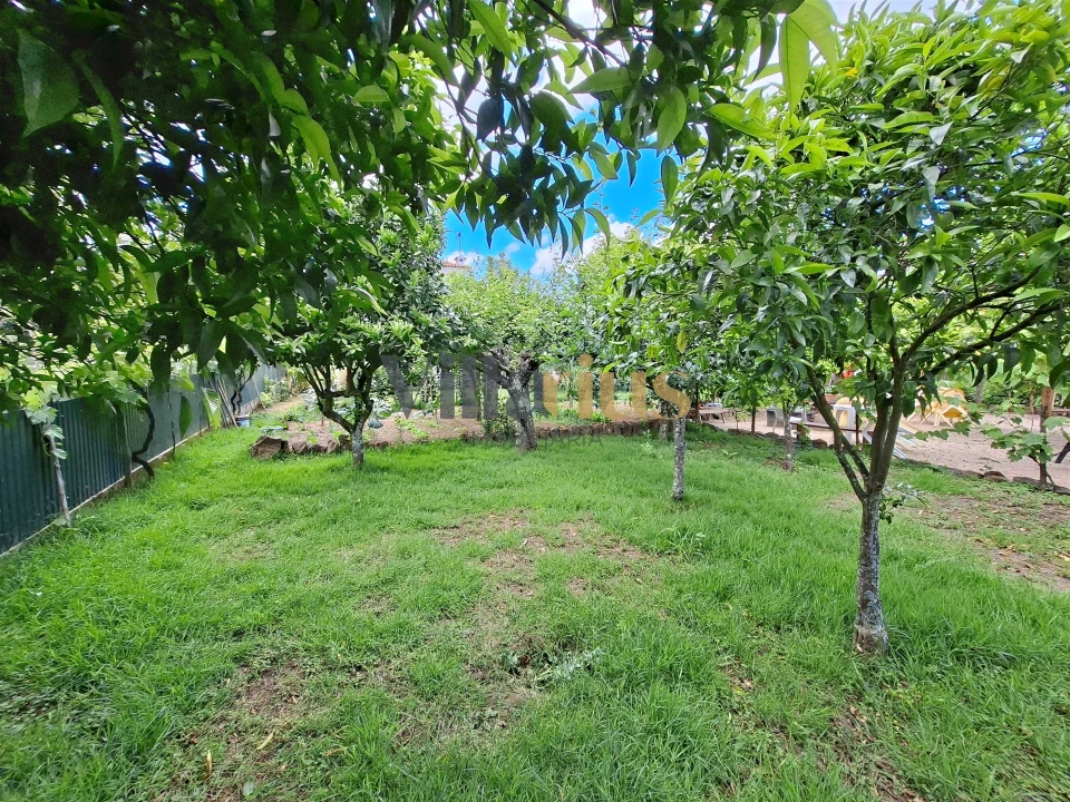Moradia T7 para Venda em Serra e Junceira Foto 81