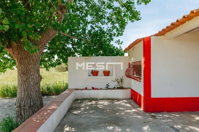 Quinta T4 para Venda em Sesimbra (Castelo)